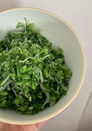 かぶの葉炒め-レシピのメイン写真