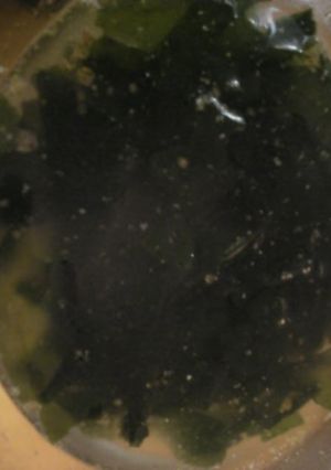 即席:簡単:鍋不使用:わかめのスープ-レシピのメイン写真