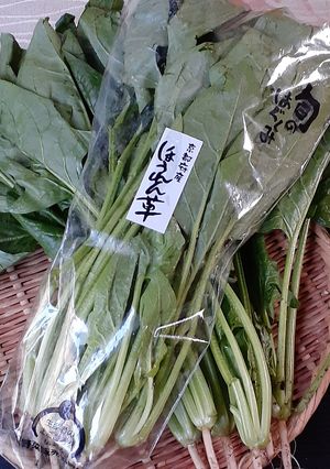 【野菜ソムリエ】ほうれん草の下茹で-レシピのメイン写真