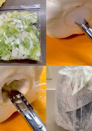 白菜の保存方法・冷凍保存-レシピのメイン写真