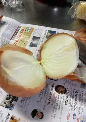 玉ねぎの簡単皮剥き-レシピのメイン写真