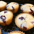 Blueberry Muffins