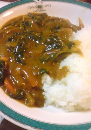 たっぷりほうれん草入りカレー-レシピのメイン写真