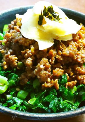大根の葉と肉そぼろの二色丼　SDGs-レシピのメイン写真
