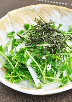 5分で完成！豆苗と大根のパリパリサラダ-レシピのメイン写真