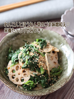 れんこんとほうれん草のごま味噌和え-レシピのメイン写真
