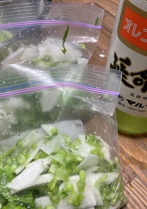 手抜き？のさっぱり漬け-レシピのメイン写真