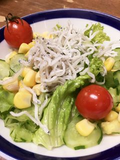 じゃこサラダ-レシピのメイン写真
