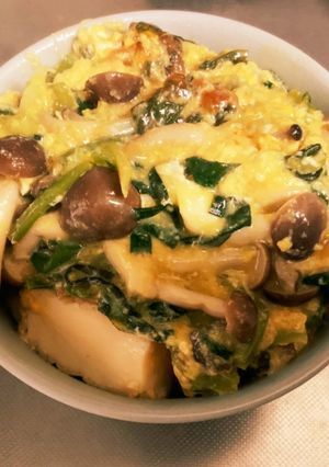 これだけで満足。厚揚げの全員他人丼-レシピのメイン写真