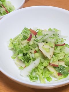 白菜とりんごのフレンチサラダ-レシピのメイン写真