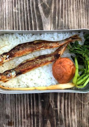 ▲山ごはん▲白いごはんと焼きししゃも-レシピのメイン写真