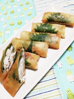鶏むねと梅 大葉 長芋の春巻-レシピのメイン写真