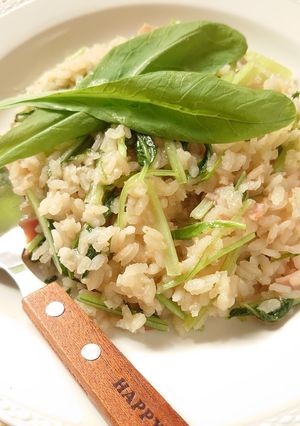 【野菜ソムリエ】京壬生菜のみそ汁リゾット-レシピのメイン写真