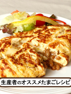 水戸納豆チーズオムレツ-レシピのメイン写真