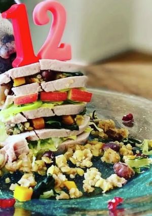 犬の手作りご飯:クリスマスディナーレシピ-レシピのメイン写真