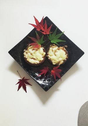 椎茸の健康チーズ焼き-レシピのメイン写真