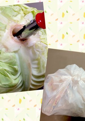キャベツの保存方法-レシピのメイン写真