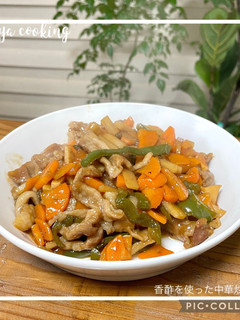 簡単中華!豚肉と野菜の黒酢炒め-レシピのメイン写真