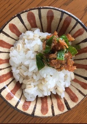 南蛮味噌☆ご飯、焼き鳥、厚揚げと共に-レシピのメイン写真