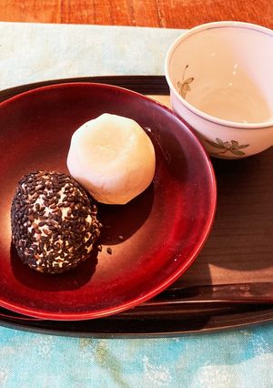 白玉粉と豆腐でレンチンあんもち♡-レシピのメイン写真