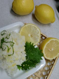 レモン&大葉 香る~♥^^♥寿司飯・酢飯-レシピのメイン写真