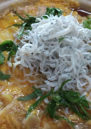 しらす乗せ豆腐のたまごとじ-レシピのメイン写真
