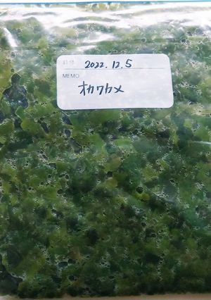 オカワカメの保存方法-レシピのメイン写真