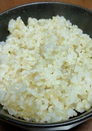 【硬くない】もち麦玄米ご飯【プチプチ】-レシピのメイン写真