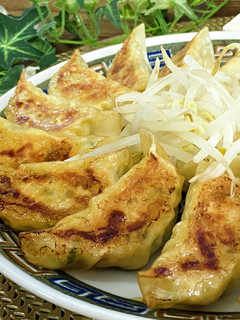 豆腐バーの絶品ヘルシー餃子-レシピのメイン写真