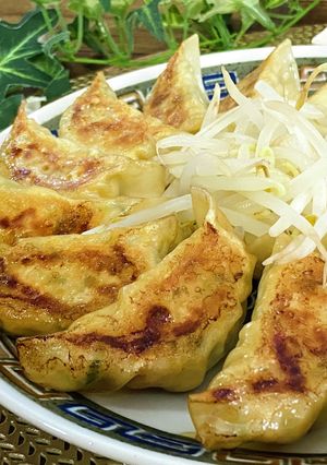豆腐バーの絶品ヘルシー餃子-レシピのメイン写真