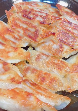 お肉とチーズの餃子-レシピのメイン写真