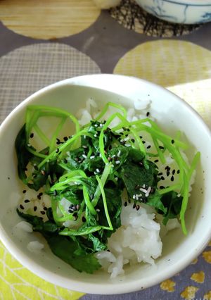 三葉おひたしのっけごま塩パラリご飯-レシピのメイン写真