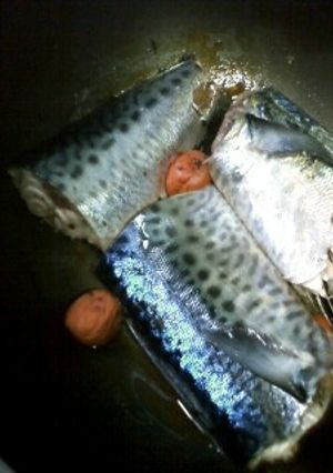 梅と酢で★サバのさっぱり煮-レシピのメイン写真