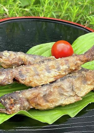 【やまなしの食】よちよちやまめのから揚げ-レシピのメイン写真