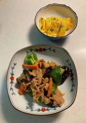 茄子と豚肉の味噌炒め、葱の卵焼き-レシピのメイン写真