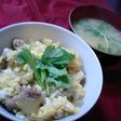 鶏せせりの親子丼