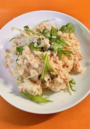 ポン酢でさっぱり！ツナと水菜の混ぜご飯-レシピのメイン写真
