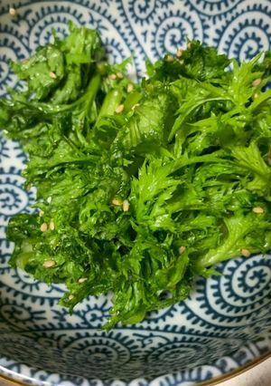 わさび菜の浅漬け-レシピのメイン写真