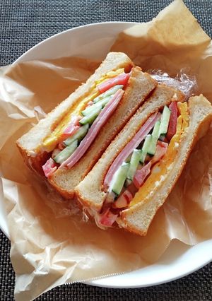 トースターで作る超簡単ホットサンド-レシピのメイン写真