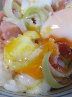 簡単 ネギトロ卵豆板醤丼-レシピのメイン写真