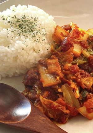 簡単スパイス3つだけ！スパイスカレー入門-レシピのメイン写真