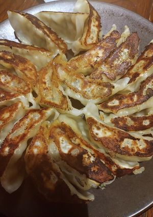 塩で食べるサッパリ餃子-レシピのメイン写真