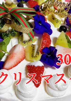 大きなクリスマスケーキ-レシピのメイン写真