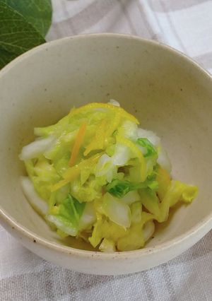 とっても便利！万能塩もみ白菜-レシピのメイン写真