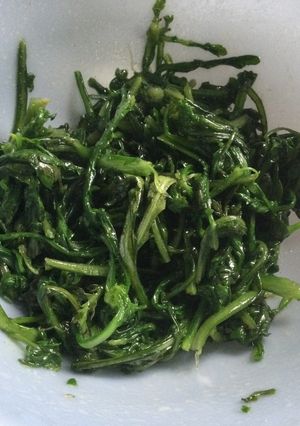 菊菜の油炒め-レシピのメイン写真