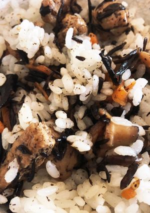 ひじきご飯の具-レシピのメイン写真