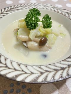 白菜の豆乳スープ-レシピのメイン写真