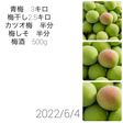 2022年 うめ仕事記録