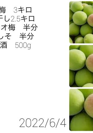 2022年 うめ仕事記録-レシピのメイン写真
