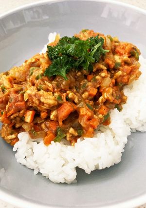簡単しっとりドライカレー-レシピのメイン写真